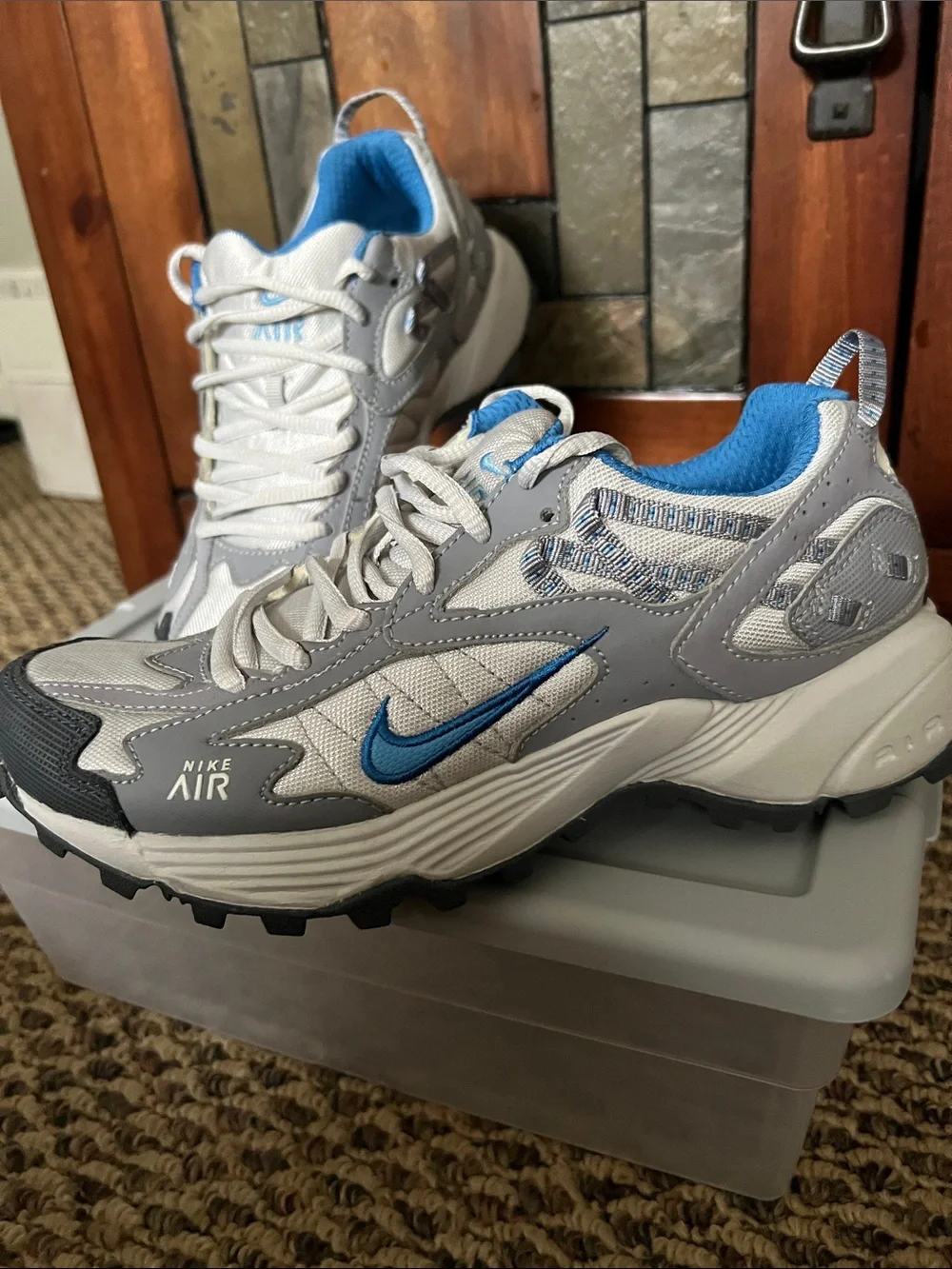 Nike Air Mesh Sneakers in Gray and Blue